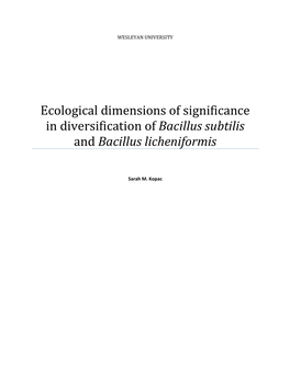 Ecological Dimensions of Significance in Diversification of Bacillus Subtilis and Bacillus Licheniformis