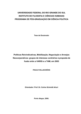 Universidade Federal Do Rio Grande Do Sul Instituto De Filosofia E Ciências Humanas Programa De Pós-Graduação Em Ciência Política