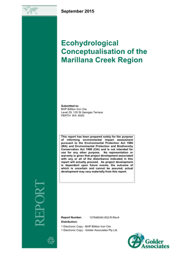 Ecohydrological Conceptualisation of the Marillana Creek Region
