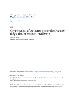 Organogenesis of the Kidney Glomerulus: Focus on the Glomerular Basement Membrane Jeffrey H