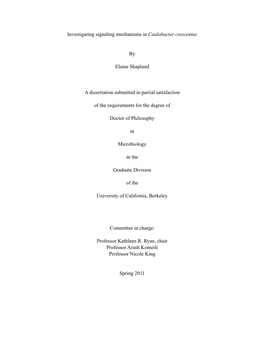 Investigating Signaling Mechanisms in Caulobacter Crescentus by Elaine