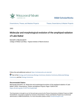 Molecular and Morphological Evolution of the Amphipod Radiation of Lake Baikal