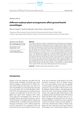 Different Soybean Plant Arrangements Affect Ground Beetle Assemblages