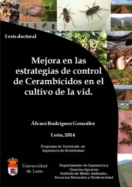 Mejora De Las Estrategias De Control De Cerambícidos En El Cultivo De La Vid