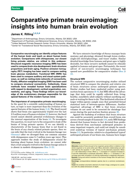 Comparative Primate Neuroimaging: Insights Into Human Brain Evolution