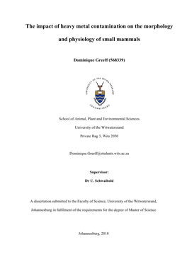 The Impact of Heavy Metal Contamination on the Morphology