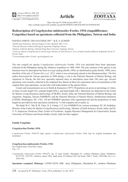 Redescription of Congrhynchus Talabonoides Fowler, 1934 (Anguilliformes: Congridae) Based on Specimens Collected from the Philippines, Taiwan and India