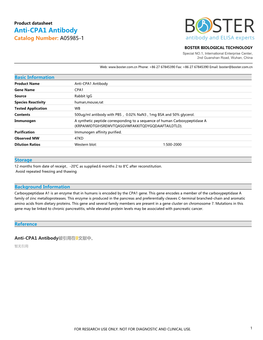 Datasheet A05985-1 Anti-CPA1 Antibody