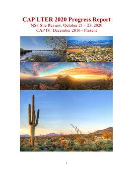 CAP LTER 2020 Progress Report NSF Site Review: October 21 – 23, 2020 CAP IV: December 2016 - Present