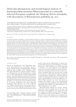 Haemosporida) in a Naturally Infected European Songbird, the Blackcap Sylvia Atricapilla, with Description of Haemoproteus Pallidulus Sp