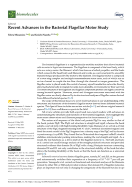 Recent Advances in the Bacterial Flagellar Motor Study