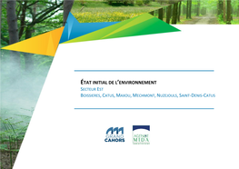 État Initial De L'environnement