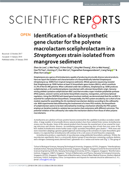 Identification of a Biosynthetic Gene Cluster for the Polyene Macrolactam