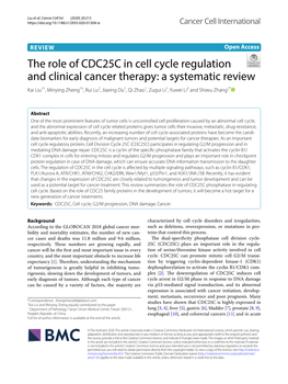 The Role of CDC25C in Cell Cycle Regulation and Clinical Cancer Therapy