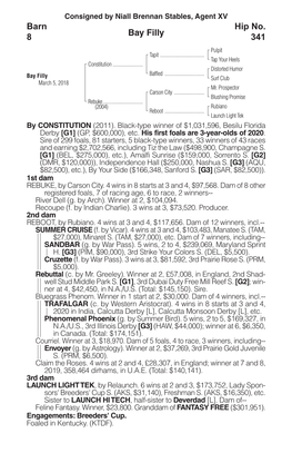 Bay Filly Barn 8 Hip No