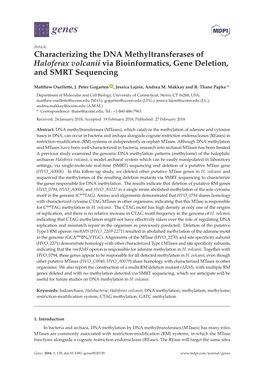 Characterizing the DNA Methyltransferases of Haloferax Volcanii Via Bioinformatics, Gene Deletion, and SMRT Sequencing