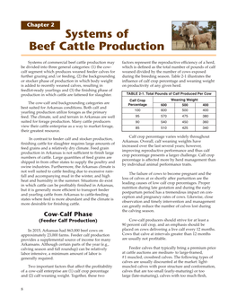 Beef Cattle Production