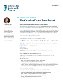 The Canadian Expert Panel Report