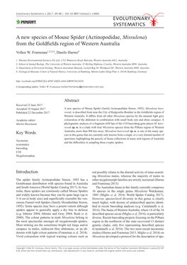 A New Species of Mouse Spider (Actinopodidae, Missulena) from the Goldfields Region of Western Australia