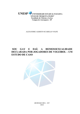 A Homossexualidade Declarada Por Jogadores De Voleibol – Um Estudo De Caso