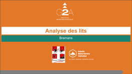 Analyse Des Lits Bramans SOMMAIRE