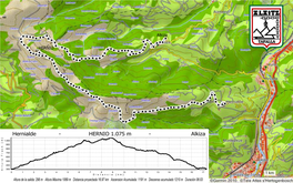 Hernio ( 1.075 M )