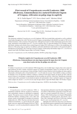 First Record of Craspedacusta Sowerbii Lankester, 1880 (Hydrozoa, Limnomedusae) in a Natural Freshwater Lagoon of Uruguay, with Notes on Polyp Stage in Captivity M