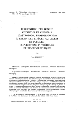 Potamides Et Pirenella (Gastropoda, Prosobranchia) À Partir Des Espèces Actuelles Et Fossiles : Implications Phylétiques Et Biogéographiques