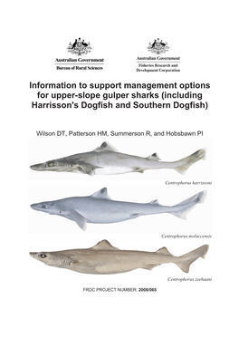 Gulper Sharks (Including Harrisson's Dogfish and Southern Dogfish)