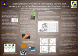 Colonization and Remediation of Polycyclic Aromatic Hydrocarbon