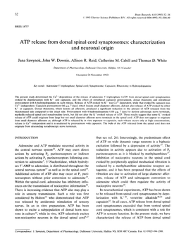 ATP Release from Dorsal Spinal Cord Synaptosomes: Characterization and Neuronal Origin