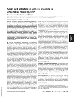 Germ Cell Selection in Genetic Mosaics in Drosophila Melanogaster