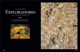 Del Mundo Perdido � Texto Conjunto Paleontológico De Teruel-Dinópolis Fotos Archivo Dinópolis Y Javier Romeo Francés