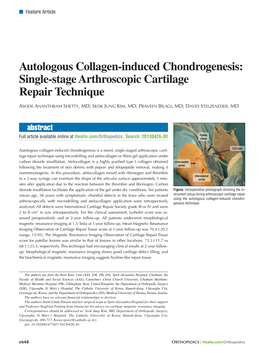 Autologous Collagen-Induced Chondrogenesis: Single-Stage Arthroscopic Cartilage Repair Technique