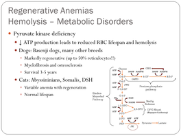 Metabolic Disorders