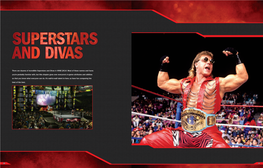 There Are Dozens of Incredible Superstars and Divas in WWE 2K14