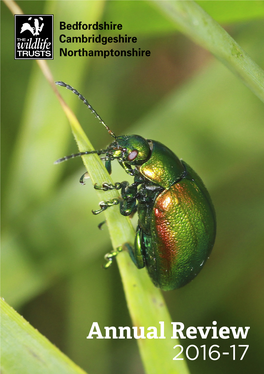 Annual Review 2016-17 Foreword I Am Delighted to Introduce the 2016-17 Annual Review of the Wildlife Trust for Bedfordshire, Cambridgeshire and Northamptonshire