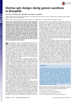 Electron Spin Changes During General Anesthesia in Drosophila