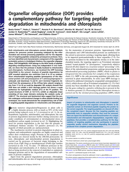 Organellar Oligopeptidase (OOP) Provides a Complementary Pathway