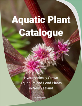 Hydroponically Grown Aquarium and Pond Plants in New Zealand