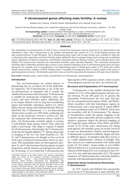 Y-Chromosomal Genes Affecting Male Fertility: a Review