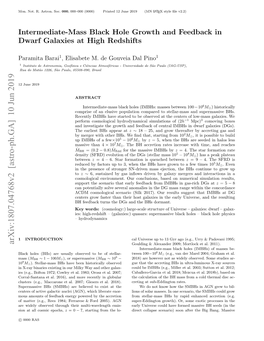 Intermediate-Mass Black Hole Growth and Feedback in Dwarf Galaxies at High Redshifts