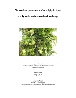Dispersal and Persistence of an Epiphytic Lichen in a Dynamic