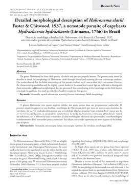 Detailed Morphological Description of Habronema Clarki Foster