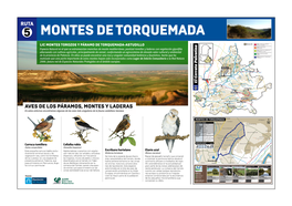 LIC MONTES TOROZOS Y PÁRAMO DE TORQUEMADA-ASTUDILLO Baltanás-Antigüedad RUTA 2