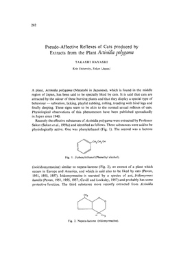 Pseudo-Affective Reflexes of Cats Produced by Extracts from the Plant Actinidia Pobgumu