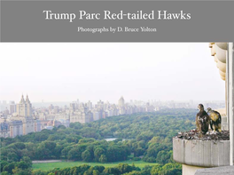 Trump Parc Nest