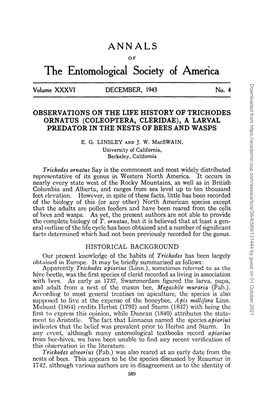 Observations on the Life History of Trichodes Ornatus (Coleoptera, Cleridae), a Larval Predator in the Nests of Bees and Wasps