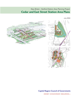 Station Area Plan(Cedar & East Street) Report
