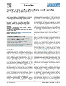 Morphology and Function of Membrane-Bound Organelles